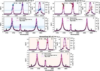 Chromospheric thermodynamic conditions from inversions of complex Mg II h & k profiles observed in flares